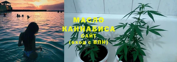 PSILOCYBIN Няндома