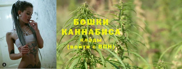 PSILOCYBIN Няндома