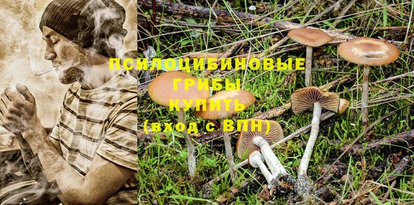 мяу мяу мука Абинск