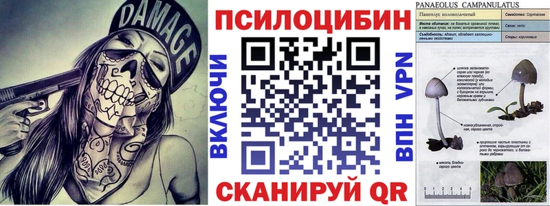 мориарти клад  как найти закладки  Приморско-Ахтарск  Псилоцибиновые грибы Psilocybe 